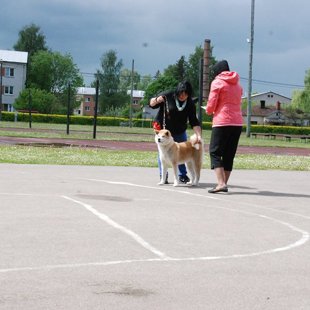 Sigulda 2015,eksperts Jana Zariņa